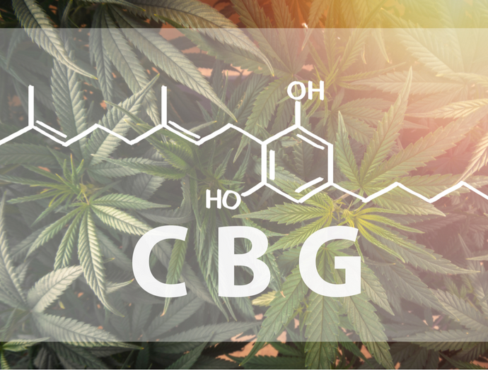 What You Need to Know About CBG, “The Mother of All Cannabinoids”