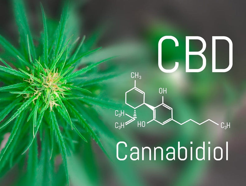 Top 5 Questions to Consider Before Buying CBD Products